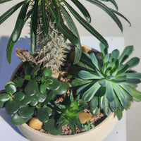 A Step into Madagascar