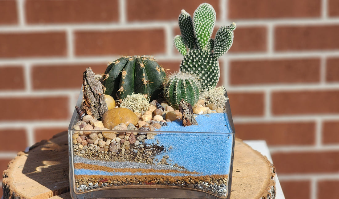 Take me to the Beach