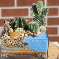 Take me to the Beach