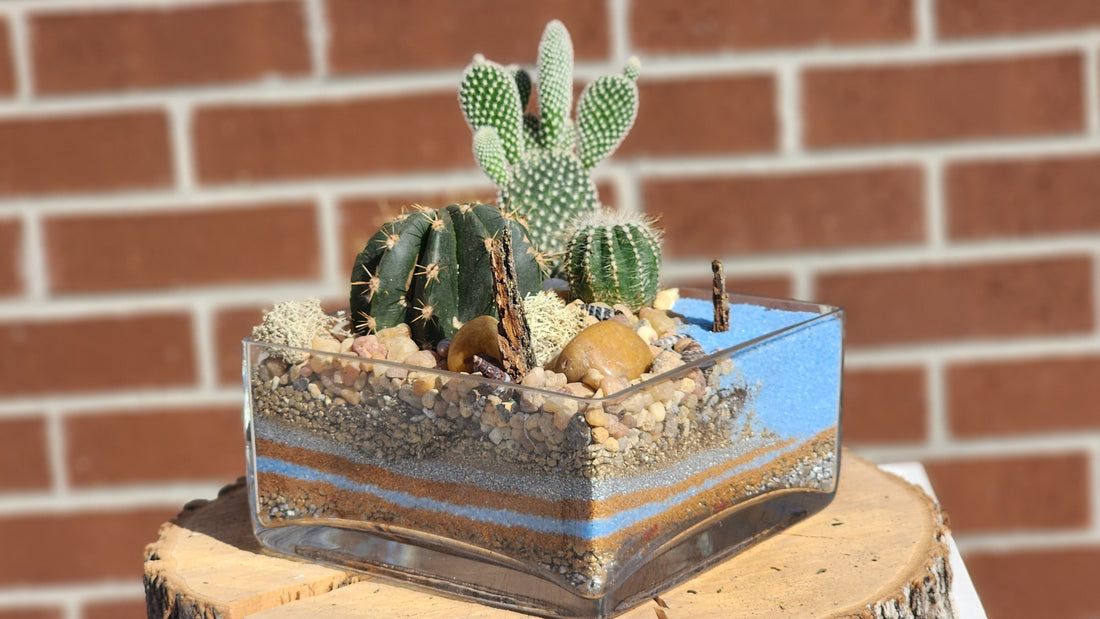 Take me to the Beach