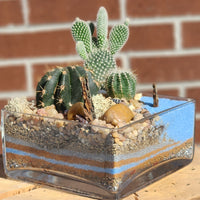 Take me to the Beach