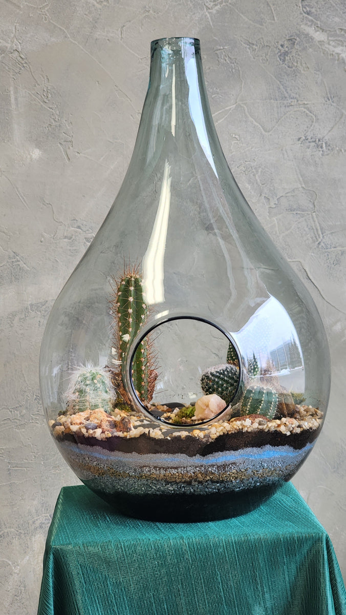 Large Terrarium - Steps Through the Desert – Bonsai Ottawa