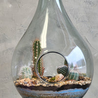 Large Terrarium - Steps Through the Desert