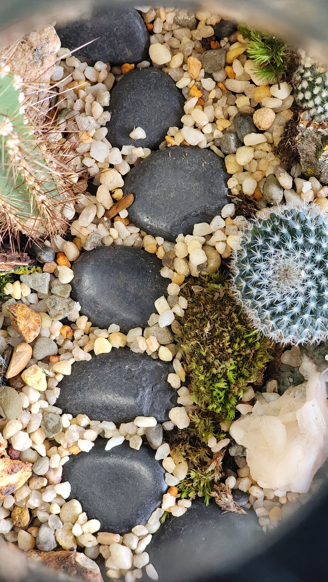 Large Terrarium - Steps Through the Desert