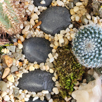 Large Terrarium - Steps Through the Desert