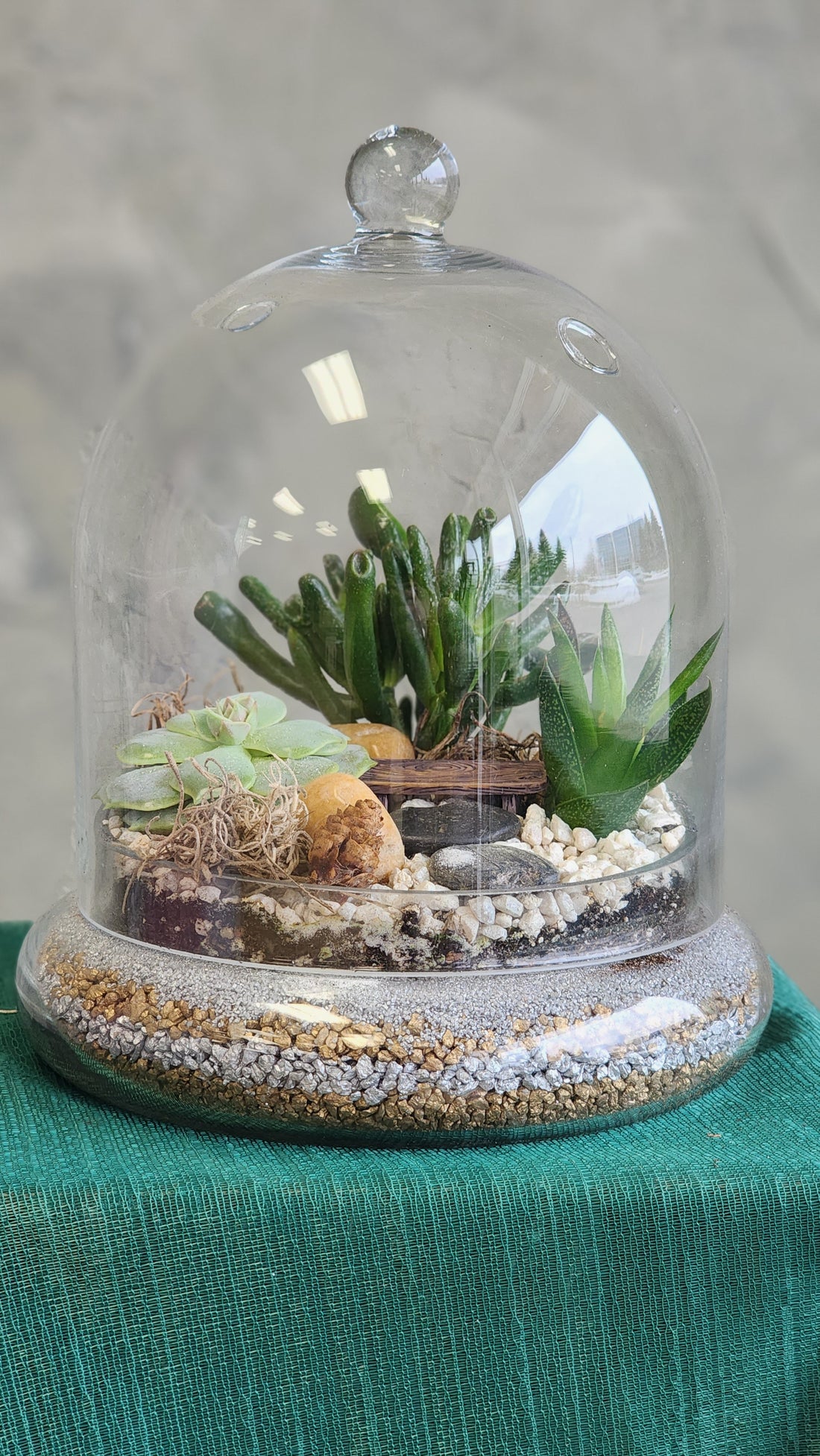 A Vacation in Winter - Terrarium with Dome
