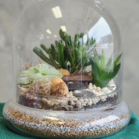 A Vacation in Winter - Terrarium with Dome