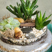 A Vacation in Winter - Terrarium with Dome