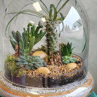 A Glimpse of Madagascar