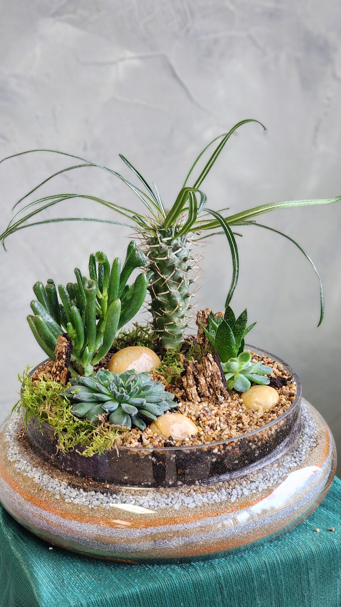 A Glimpse of Madagascar