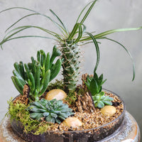 A Glimpse of Madagascar