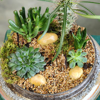 A Glimpse of Madagascar