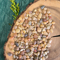 Bonsai Decorative Gravel - Top Dressing