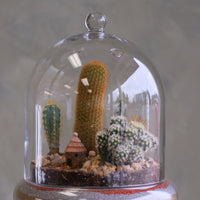 Glass cloche terrarium with mixed cacti, pebbles, layered sand base, and a tiny clay hut, styled as a miniature desert village on a round pedestal.