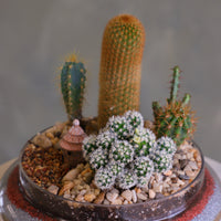 Glass cloche terrarium with mixed cacti, pebbles, layered sand base, and a tiny clay hut, styled as a miniature desert village on a round pedestal.