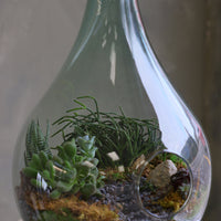 Large teardrop glass terrarium with front opening, layered sand, pebbles, moss, and assorted succulents arranged as a lush miniature landscape.