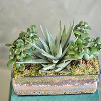 Succulent Centre Piece
