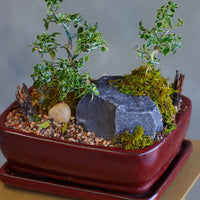 Elegant bonsai and rock garden in a red ceramic pot with moss and pebbles, available for delivery in Ottawa.