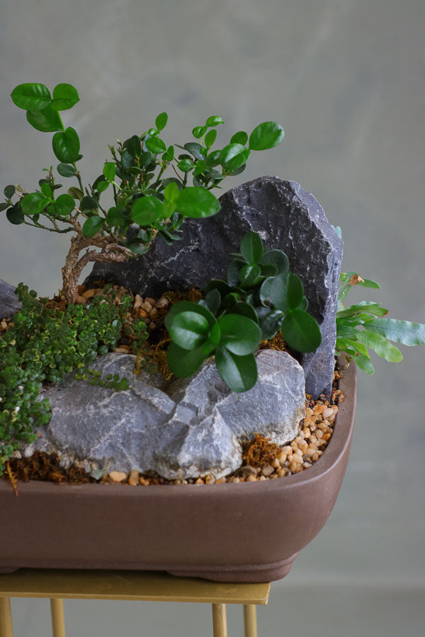 Mountain Serenity bonsai arrangement featuring sculpted bonsai trees, rugged stones, moss, and pebbles in a ceramic container by Ottawa florist.