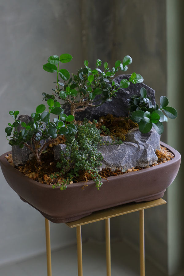 Mountain Serenity bonsai arrangement featuring sculpted bonsai trees, rugged stones, moss, and pebbles in a ceramic container by Ottawa florist.