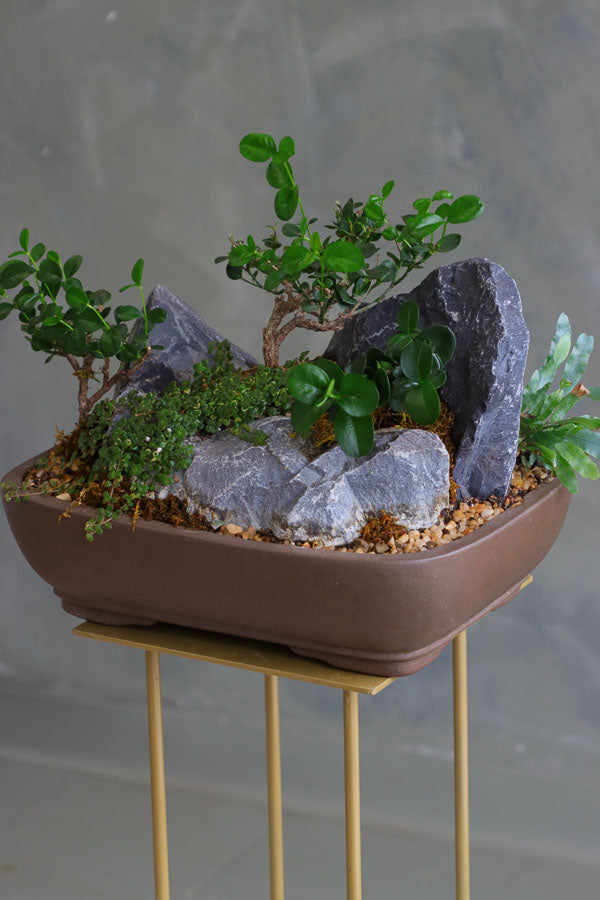 Mountain Serenity bonsai arrangement featuring sculpted bonsai trees, rugged stones, moss, and pebbles in a ceramic container by Ottawa florist.