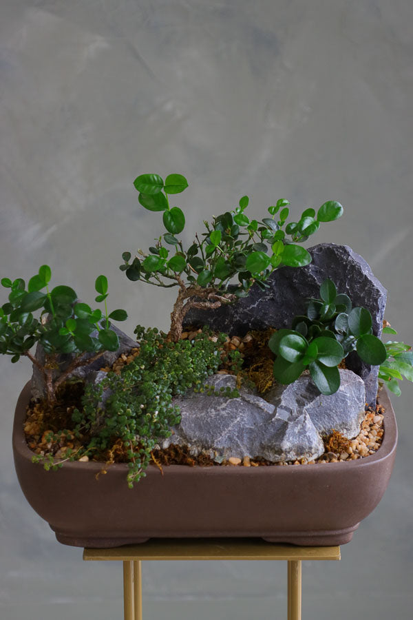 Mountain Serenity bonsai arrangement featuring sculpted bonsai trees, rugged stones, moss, and pebbles in a ceramic container by Ottawa florist.