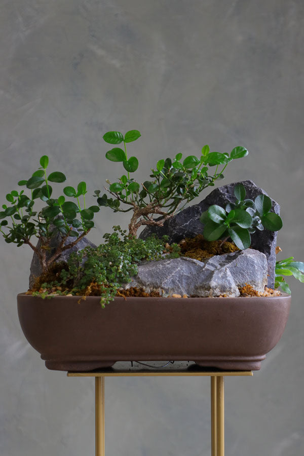 Mountain Serenity bonsai arrangement featuring sculpted bonsai trees, rugged stones, moss, and pebbles in a ceramic container by Ottawa florist.