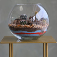 Glass terrarium featuring Balloon Cactus, Old Lady Cactus, Ladyfinger Cactus, and Mother of Hundreds with decorative sand and pebbles