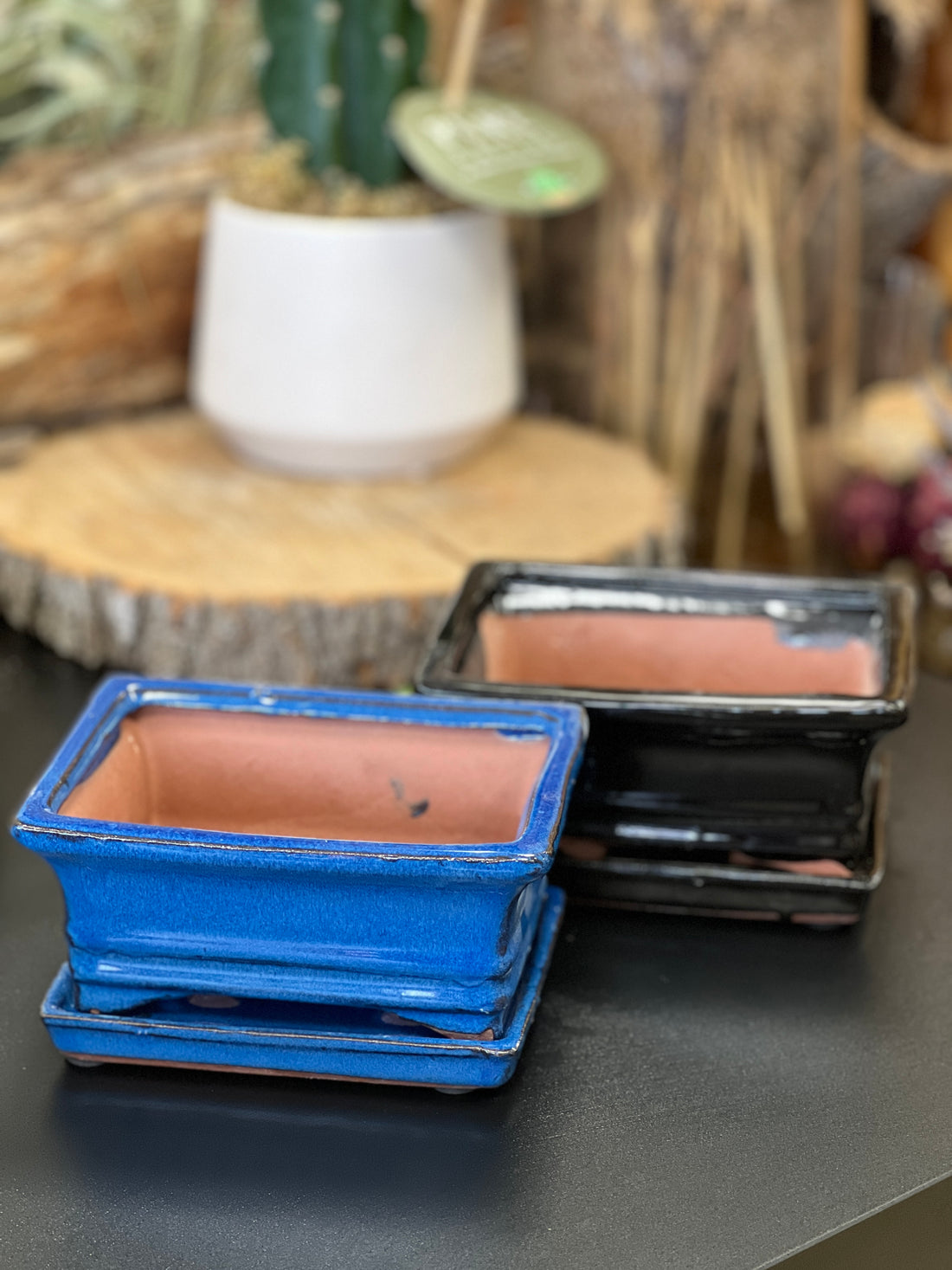 Bonsai plant glazed handmade ceramic pot blue and black colours Bonsai Ottawa Shop