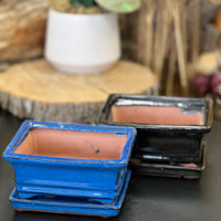Bonsai plant glazed handmade ceramic pot blue and black colours Bonsai Ottawa Shop