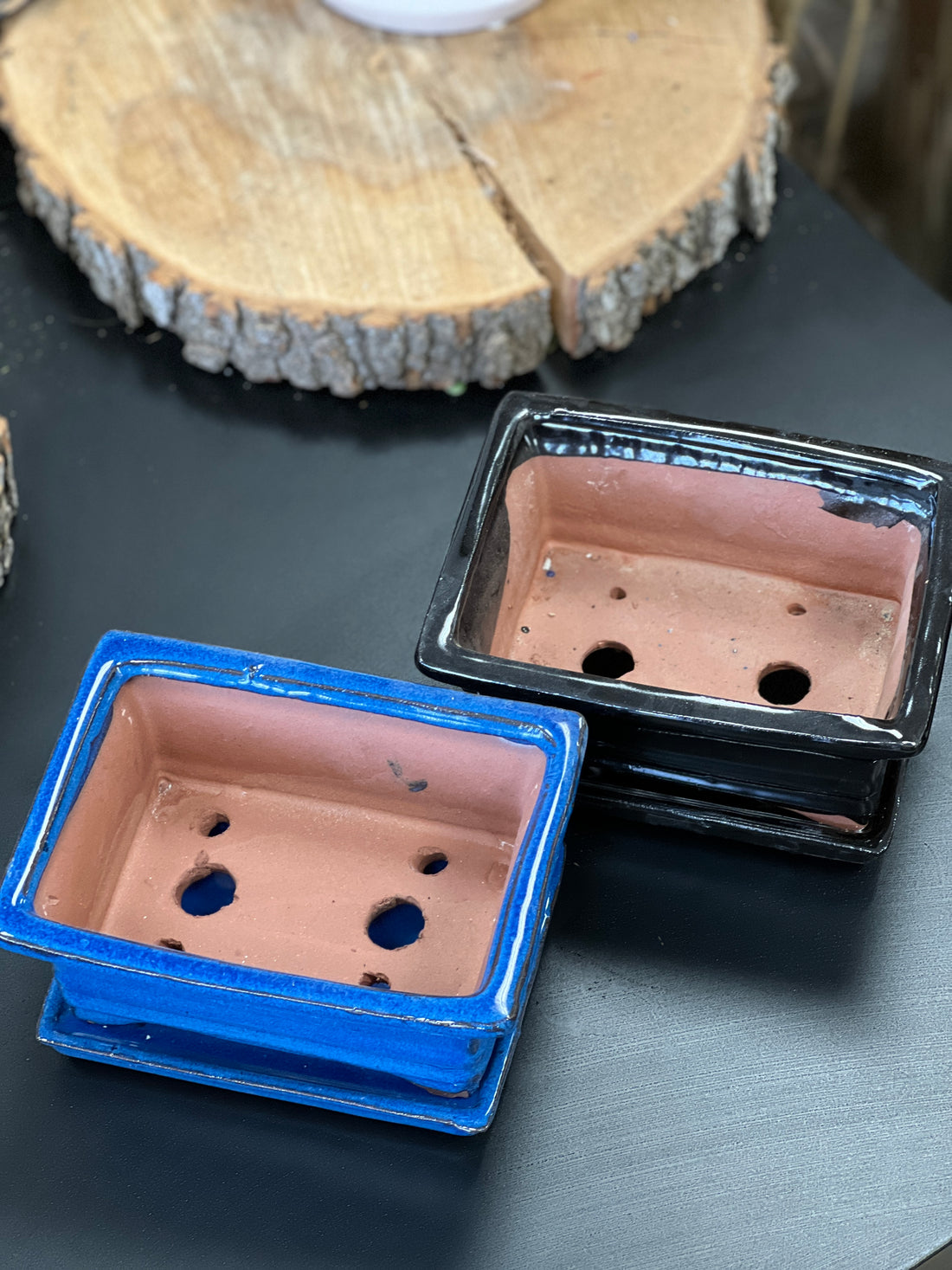 Bonsai plant glazed handmade ceramic pot blue and black colours Bonsai Ottawa Shop