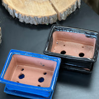 Bonsai plant glazed handmade ceramic pot blue and black colours Bonsai Ottawa Shop