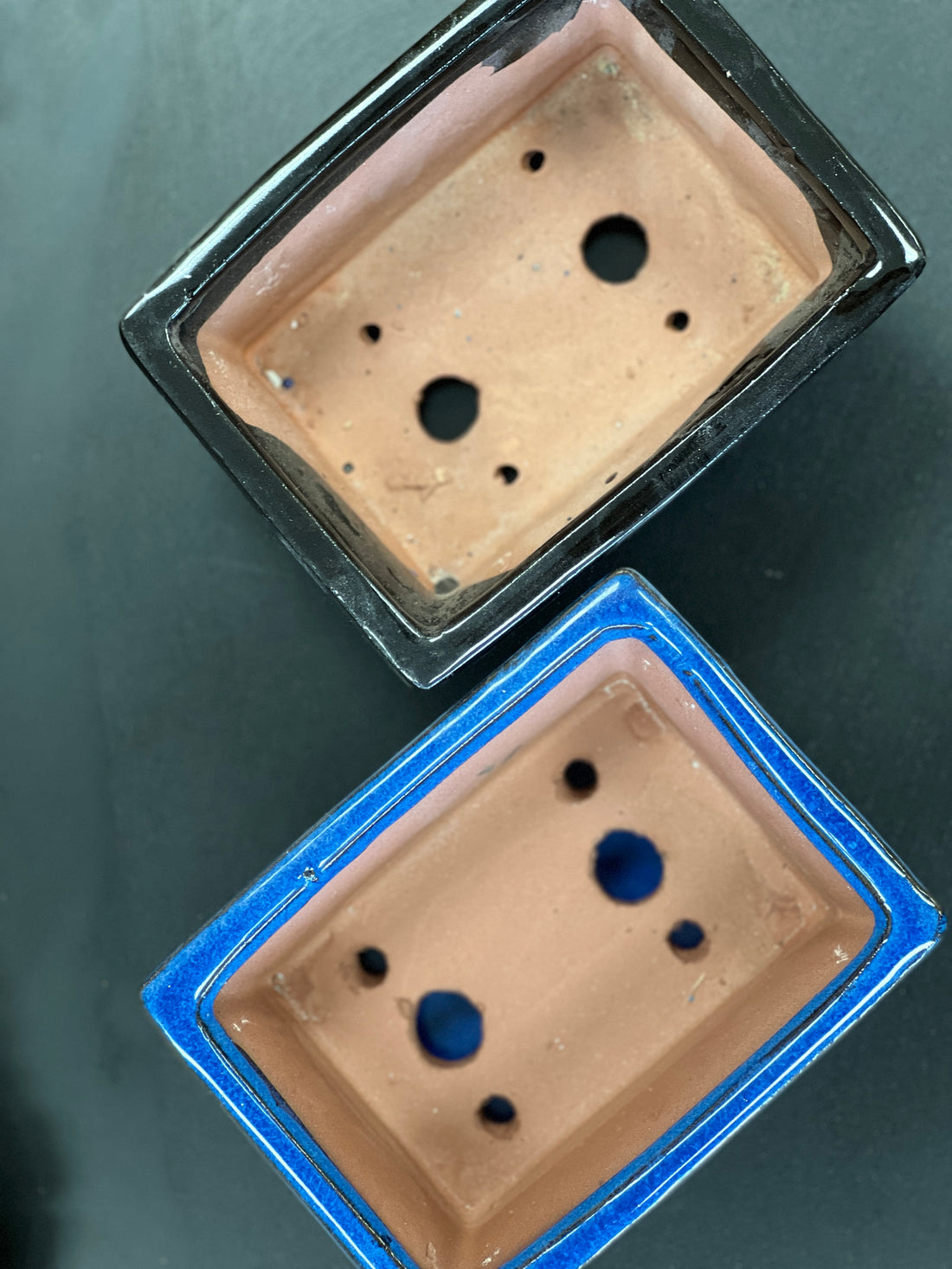 Bonsai plant glazed handmade ceramic pot blue and black colours Bonsai Ottawa Shop