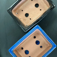 Bonsai plant glazed handmade ceramic pot blue and black colours Bonsai Ottawa Shop
