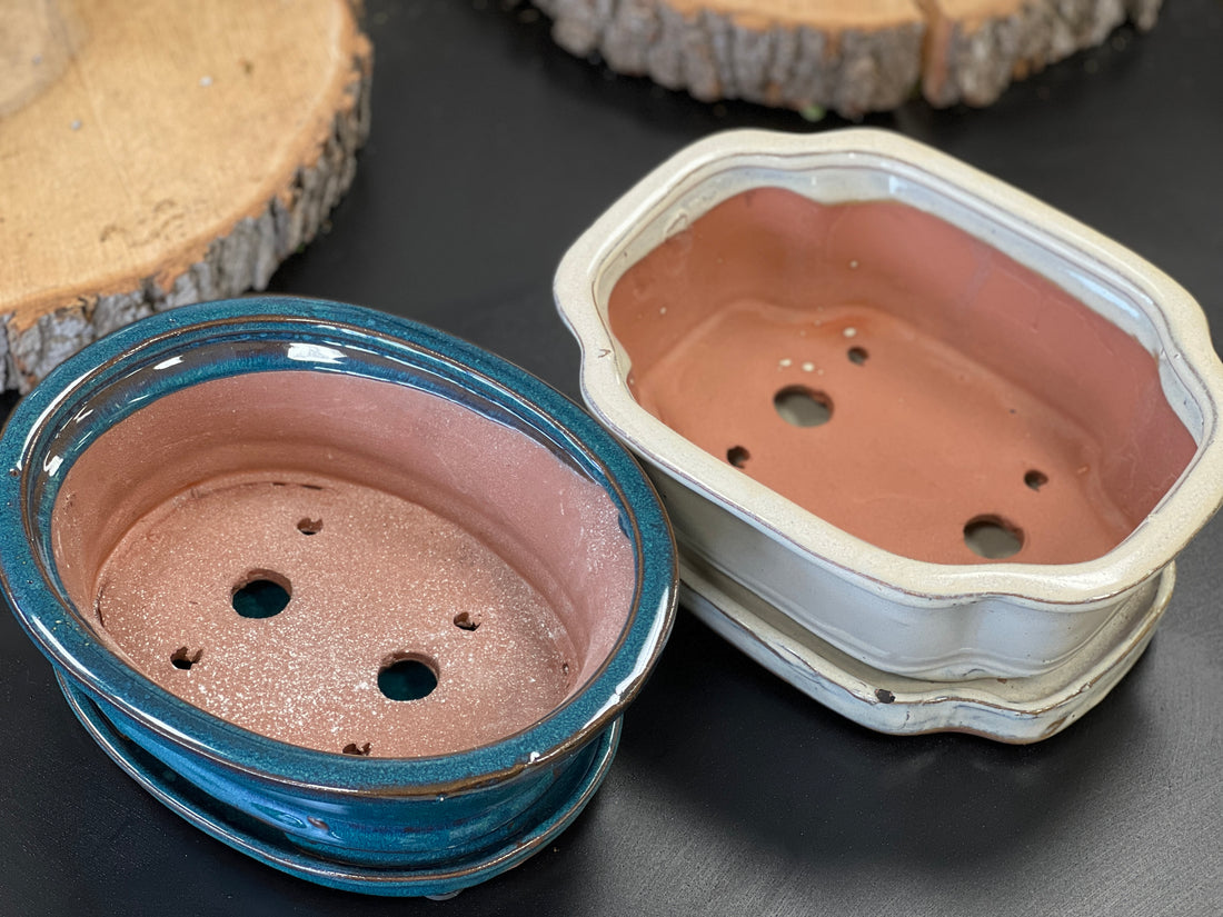 Bonsai Plant pot glazed ceramic white and blue 8x7x3"Bonsai Ottawa Shop