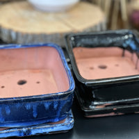 Bonsai plant pot glazed ceramic 8" Blue and black colours Bonsai Shop Ottawa
