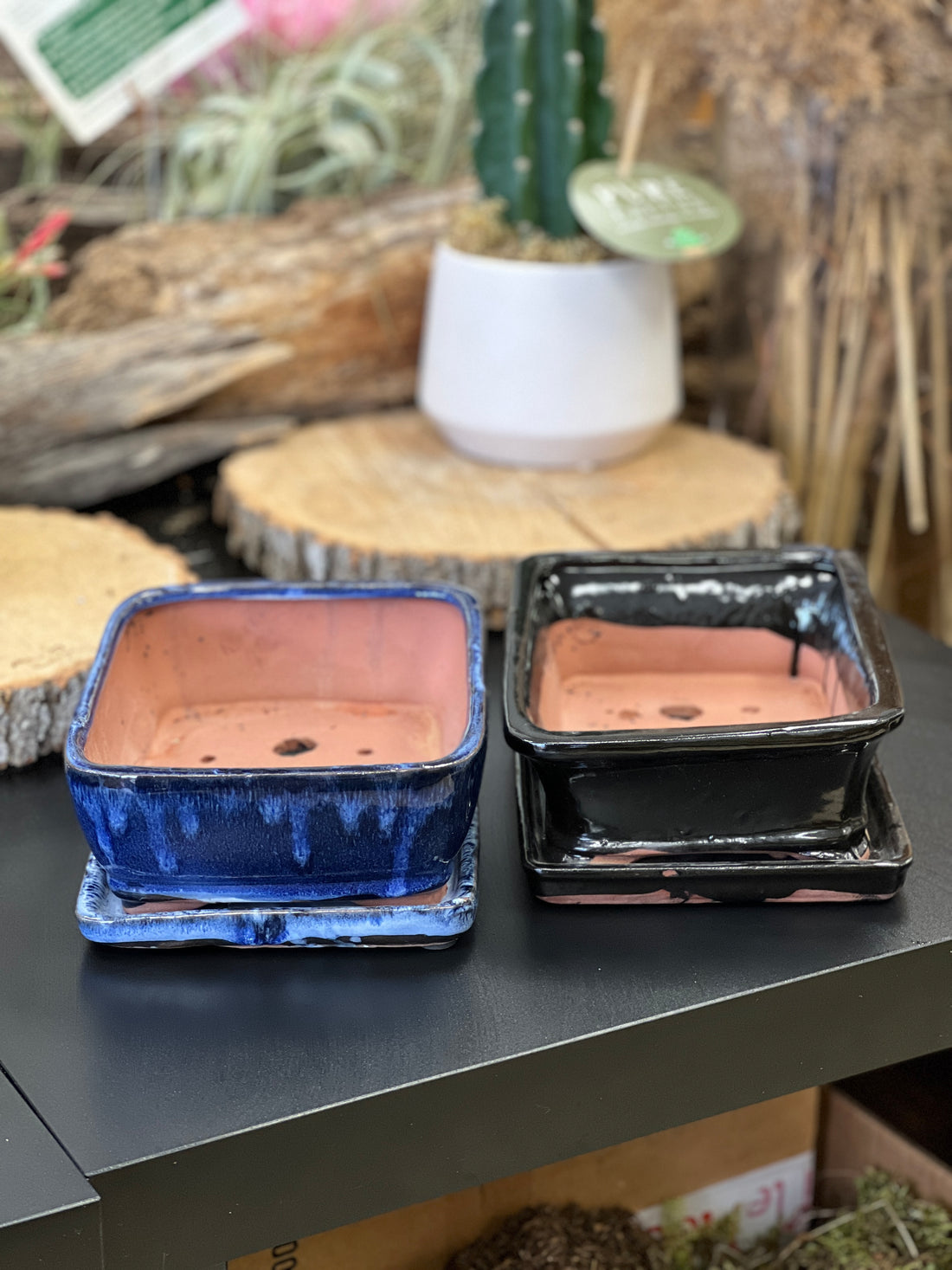 Bonsai plant pot glazed ceramic 8" Blue and black colours Bonsai Shop Ottawa