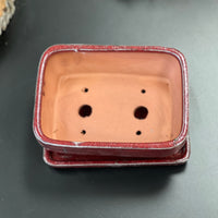 Bonsai plant pot glazed ceramic red and turquoise colours Bonsai Ottawa Shop