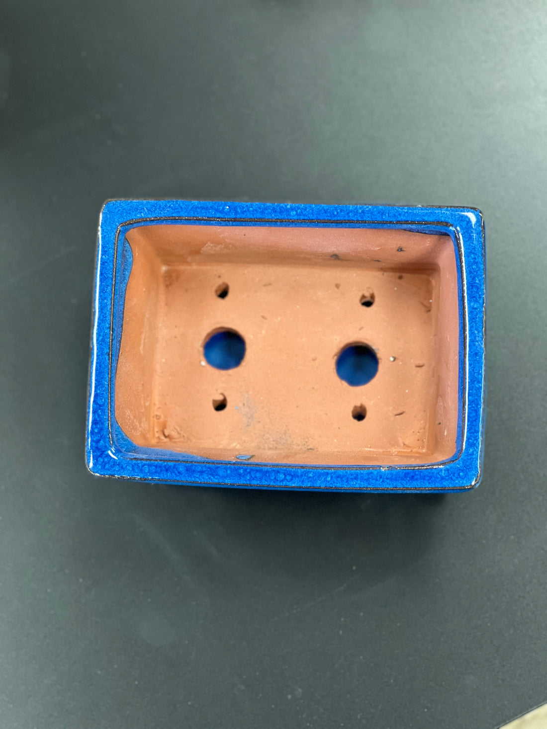 Bonsai plant glazed handmade ceramic pot blue and black colours Bonsai Ottawa Shop