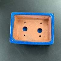 Bonsai plant glazed handmade ceramic pot blue and black colours Bonsai Ottawa Shop