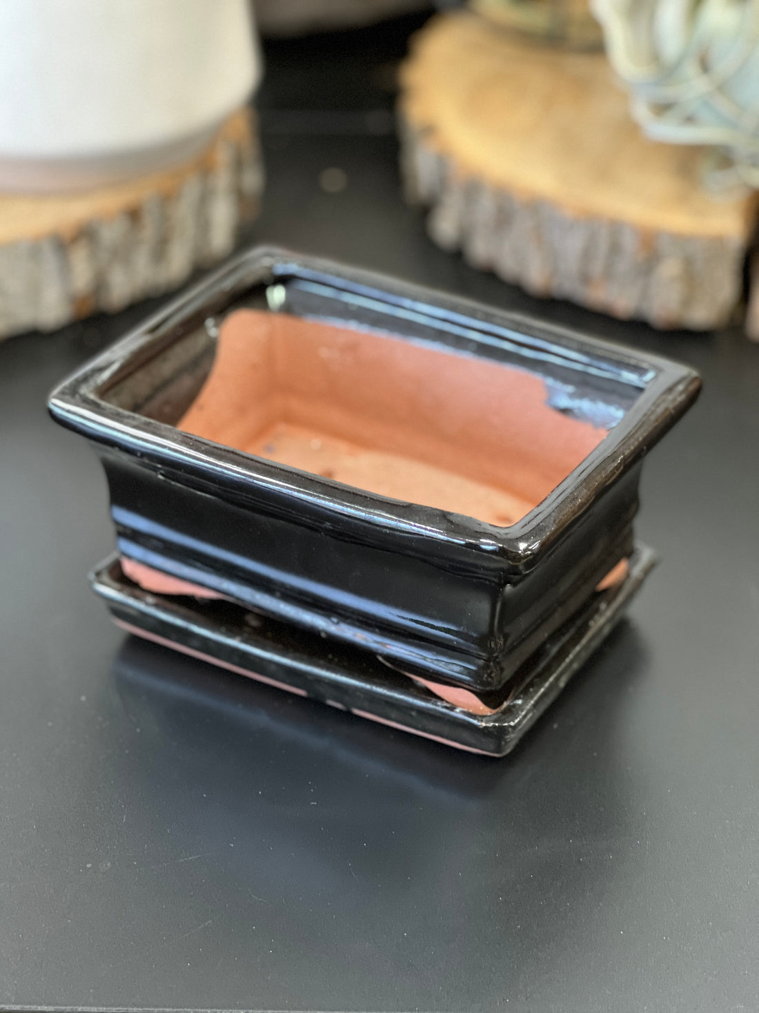 Bonsai plant glazed handmade ceramic pot blue and black colours Bonsai Ottawa Shop
