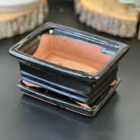 Bonsai plant glazed handmade ceramic pot blue and black colours Bonsai Ottawa Shop