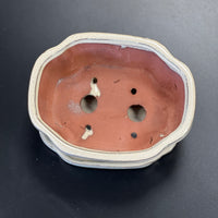Bonsai plant pot glazed ceramic 7x6x3" White and blue colours Bonsai Ottawa Shop