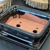 Bonsai plant pot glazed ceramic 8" Blue and black colours Bonsai Shop Ottawa
