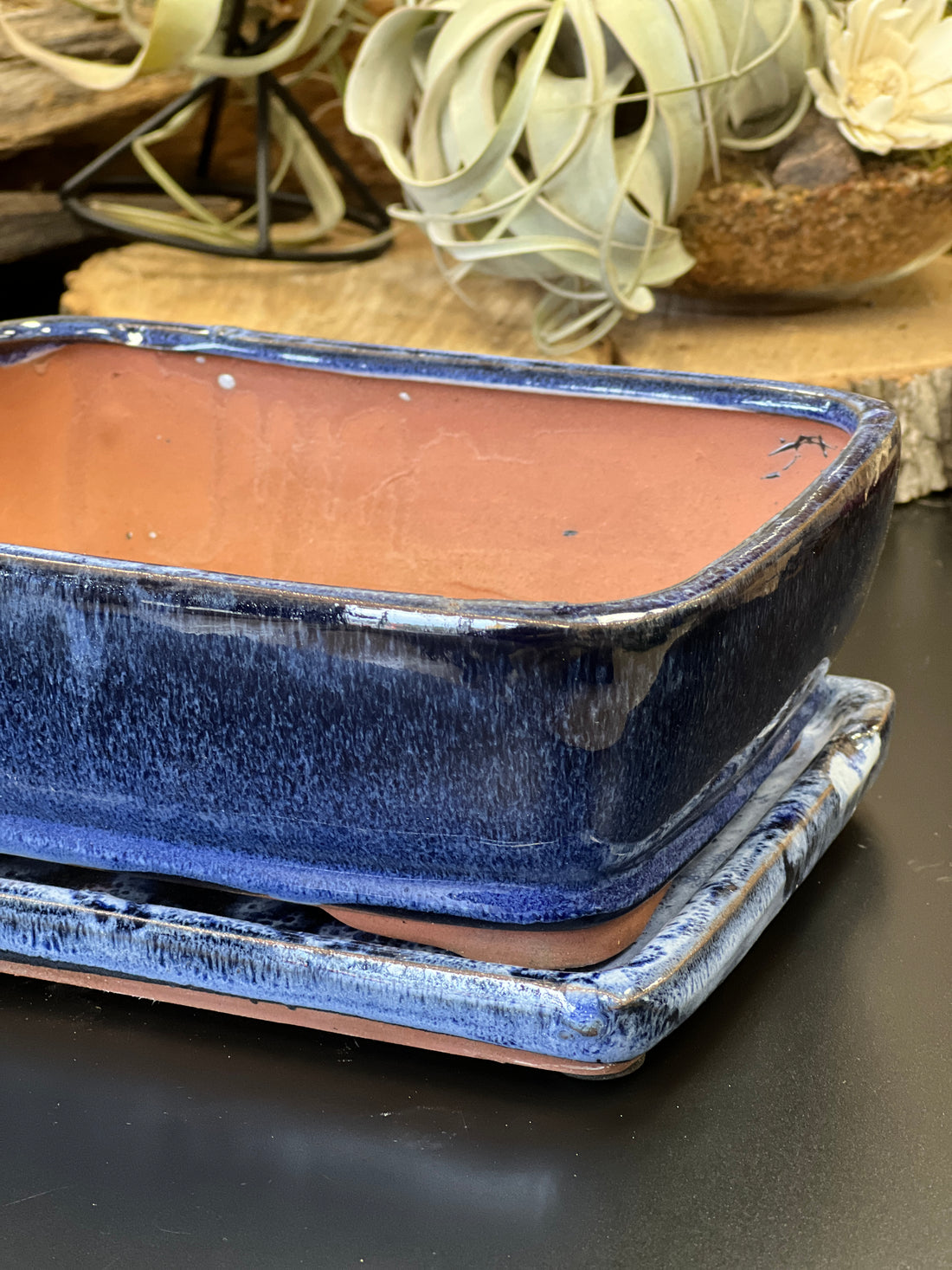 Bonsai plant pot glazed ceramic 8" Blue and black colours Bonsai Shop Ottawa