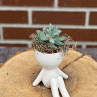 plant dude; people ceramic pot; cute plants in pots; gift for a plant lover