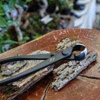 bonsai tools knob cutters