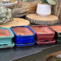 Ceramic glazed pots turquoise navy blue burgundy black 7x6x3" Bonsai Ottawa Shop Edit alt text