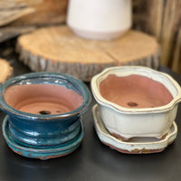 Bonsai plant pot glazed ceramic 7x6x3" White and blue colours Bonsai Ottawa Shop