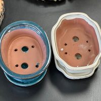 Bonsai plant pot glazed ceramic 7x6x3" White and blue colours Bonsai Ottawa Shop